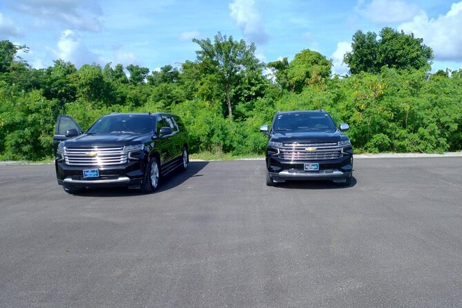 Private VIP Shuttle Service in Punta Cana - Hotel Arrival: Luggage Drop-Off and Help at the Front Desk