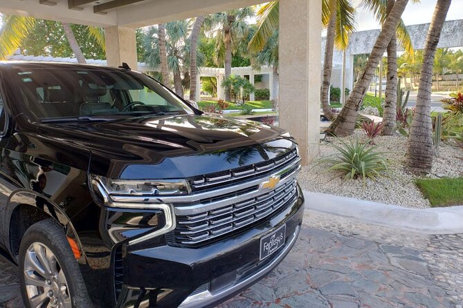 Private VIP Shuttle Service in Punta Cana - Pickup and the Meet-Up System That Saves Time