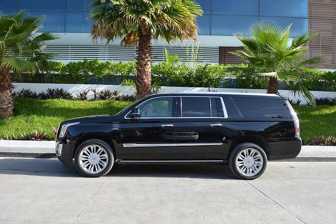 Private VIP Suv and Minivan Airport Transfer around Punta Cana - Name-sign pickup and luggage help: How you avoid the PUJ scramble
