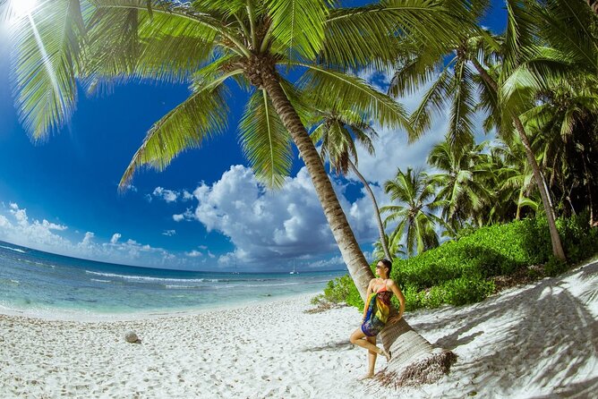 PRIVATE VIP tour Saona Island with Snorkeling, Starfish, Turtles - Key highlights to know before you go