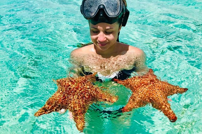 PRIVATE VIP tour Saona Island with Snorkeling, Starfish, Turtles - Snorkeling time, plus what you’re really looking for