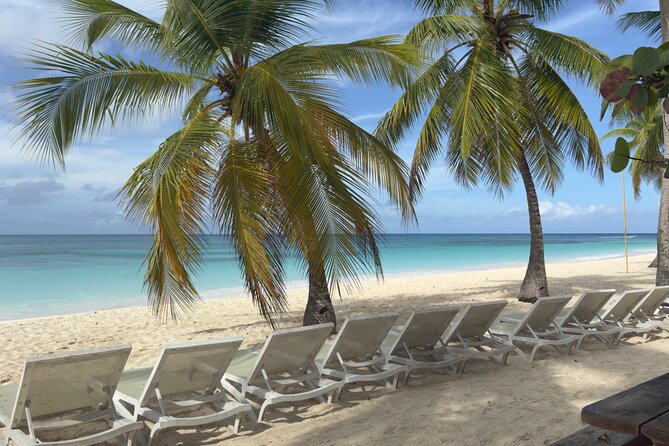 PRIVATE VIP tour Saona Island with Snorkeling, Starfish, Turtles - The natural starfish pool: the swim that anchors the day