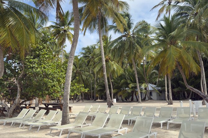 PRIVATE VIP tour Saona Island with Snorkeling, Starfish, Turtles - Who this VIP Saona trip fits best