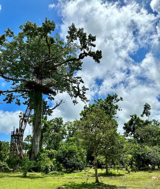 Punta Cana: 3-in-1 Adventure Haitises Park Waterfall Montaña - Los Haitises National Park cruise: Jurassic scenery and Taino cave time