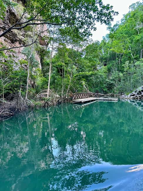 Punta Cana: 3-in-1 Adventure Haitises Park Waterfall Montaña - Rancho Salto Yanigua: waterfall swim, cocoa/coffee culture, and blue amber