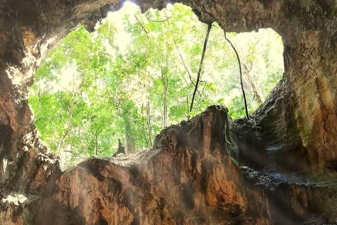 Punta Cana 3in1 Adventure: Los Haitises Park, Waterfall & Montaña - Lunch, soda, and what the included meal really means