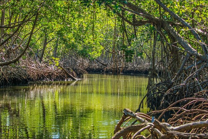 Punta Cana 3in1 Adventure: Los Haitises Park, Waterfall & Montaña - Transportation: comfortable air-conditioning, but count the bumpy roads