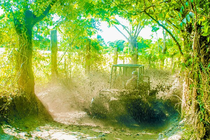 Punta Cana 4 Hours Buggy Tour Cave Macao Beach Free Pick Up - Cueva Taína cenote: what the cave swim stop is really like
