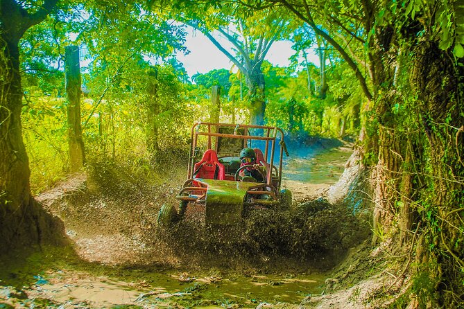 Punta Cana 4 Hours Buggy Tour Cave Macao Beach Free Pick Up - Coffee and cocoa tasting at a rural Macao stop