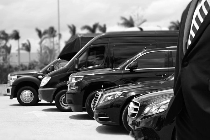 Punta Cana Airport Pick Up - Hotel Transportation Service - Key points at a glance