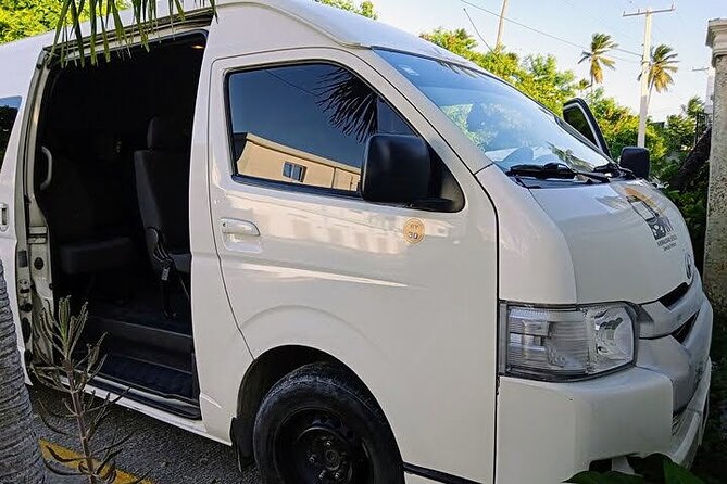 Punta Cana Airport Shuttle to or from Airport - Meet-and-greet pickup: less chaos at the airport