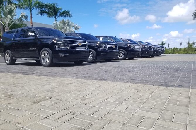 Punta Cana Airport To Uvero Alto Hotels (up to 50 km) - Should You Book This Punta Cana Airport to Uvero Alto Transfer?