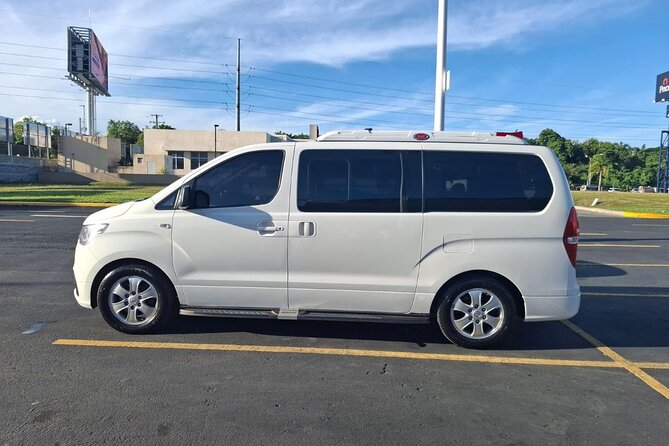 Punta Cana Airport Transfer Bavaro Van - Who Should Book This Transfer (and Who Might Skip It)