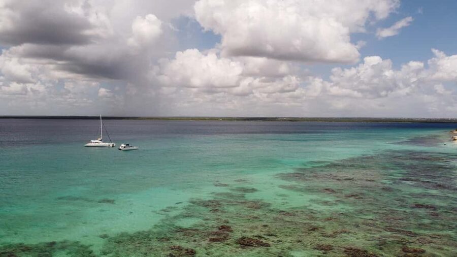 Punta Cana: All Inclusive Saona Island Experience - Mangroves, Reefs, and Wildlife Spotting Without Needing Gear