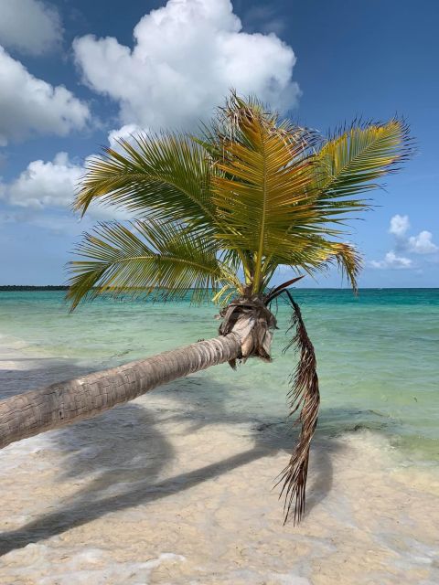 Punta Cana: All Inclusive Saona Island Experience - Buffet Lunch on Saona: Dominican Flavors, Plus a Built-In Break