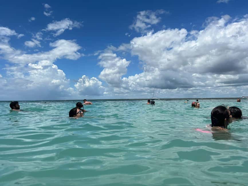 Punta Cana: All Inclusive Saona Island Experience - Playa Palmilla Natural Pool: Starfish Spotting at Waist-Level Water