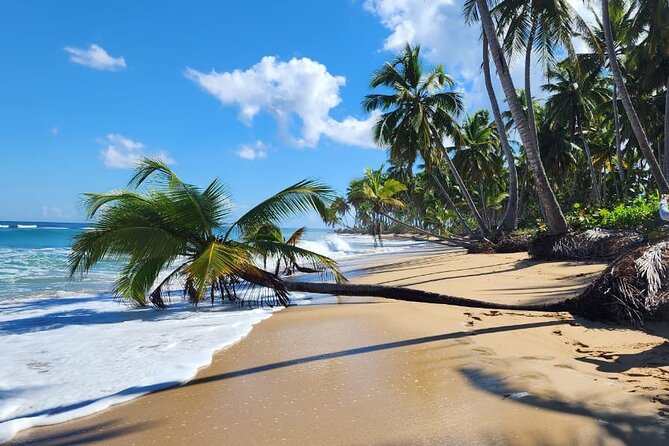 Punta Cana: Amazing ATV Adventure Private Road & Beach W/ PickUp - Ranch Check-In and Safety: Getting Ready to Ride Without Wasting Time