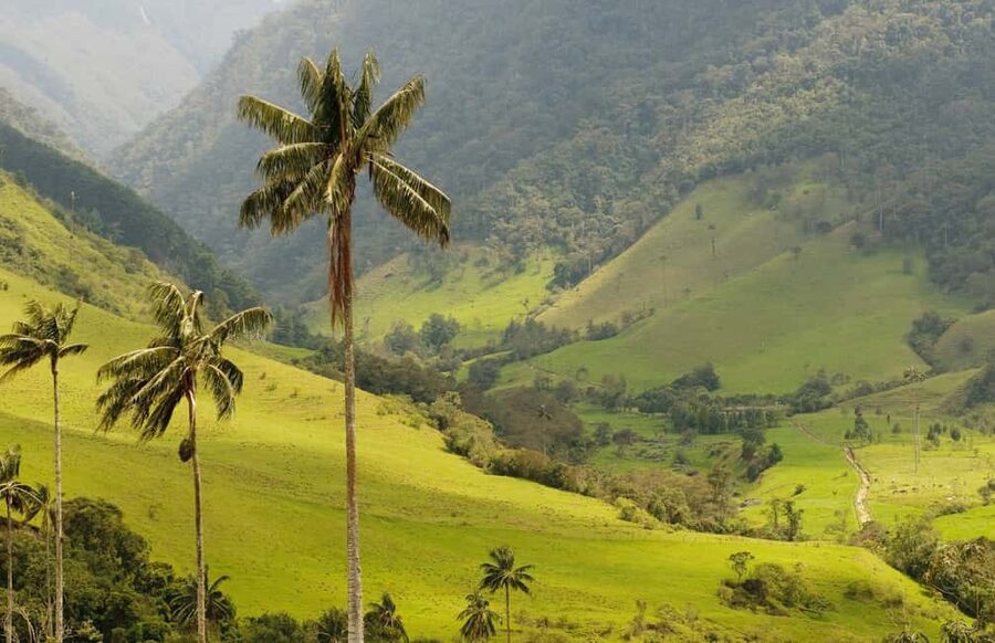 Punta Cana: Anamaya Mountains Walking Tour with Tasting - Punta Cana Meets the Dominican Outback: why this tour feels different