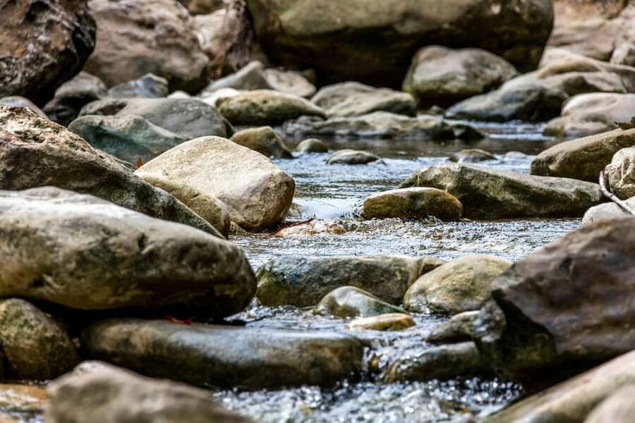 Punta Cana: Anamaya Mountains Walking Tour with Tasting - What to bring (and what actually helps on a rainforest hike)