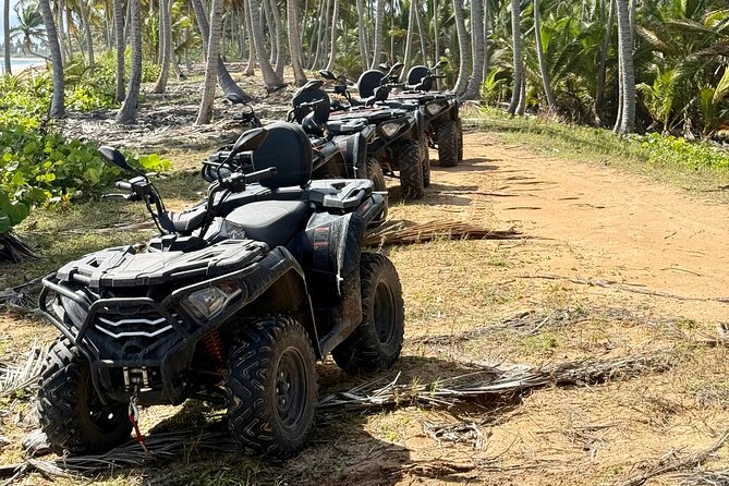 Punta Cana ATV: Jungle, Beach & River Small Group Tour - Price and Value at $87.99: What You’re Actually Buying