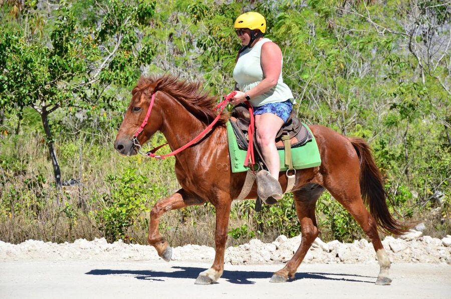 Punta Cana: Bávaro Adventure Park Horse Riding & Waterfalls - Horseback at Bavaro Adventure Park: what the 4 hours really feel like