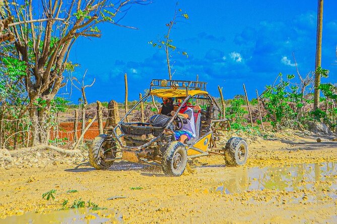 Punta Cana Bavaro Buggy Adventure - What You Get for the Money: Mama Juana, Chocolate, and Water