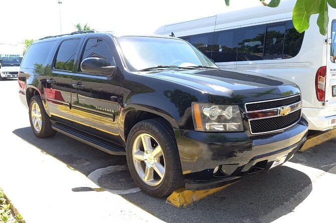 Punta Cana & Bávaro Private Transportation - Who should book this Punta Cana & Bávaro transfer?