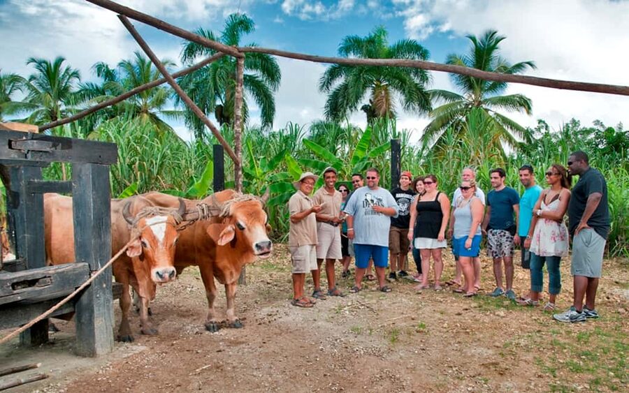 Punta Cana: Bavaro Runners Safari Tour - Hotel pickup and the rhythm of an 8-hour day