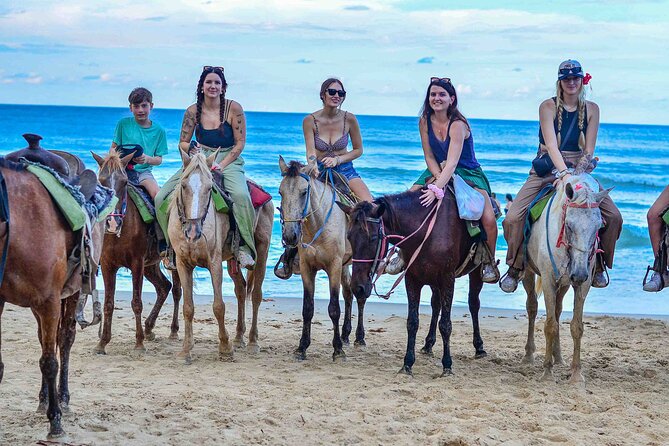 Punta Cana Beach Horseback Ride Paradise Coast Experience - Key Highlights at a Glance