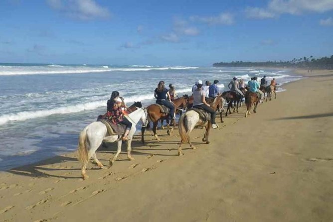 Punta Cana Beach Horseback Riding - Quick hits: what makes this Punta Cana horse ride special