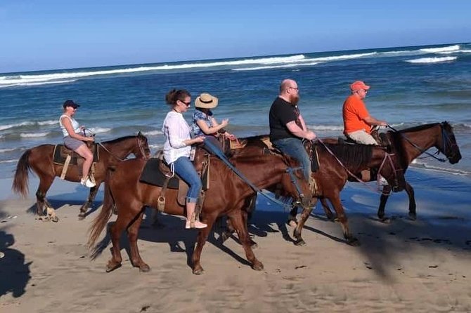 Punta Cana Beach Horseback Riding - Coconut palms to the Maimon River mouth: the scenery payoff