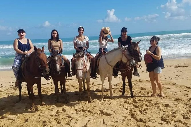 Punta Cana Beach Horseback Riding - Pace and fun level: walk, jog, gallop, plus little stops