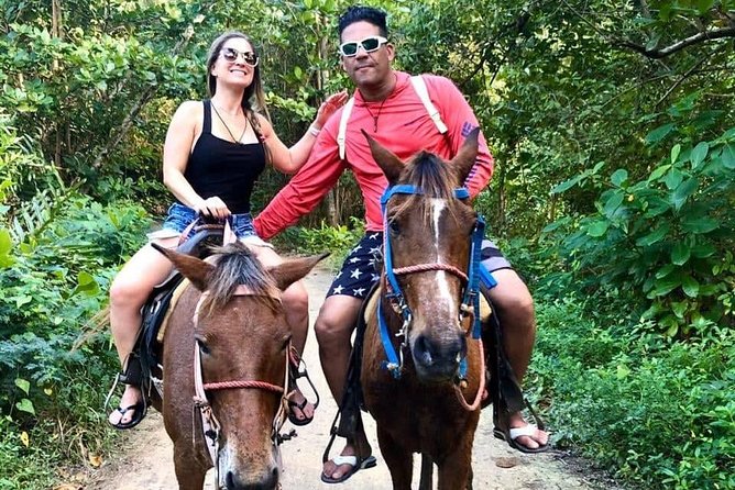 Punta Cana Beach Horseback Riding - Price and value: is $58 a good deal?