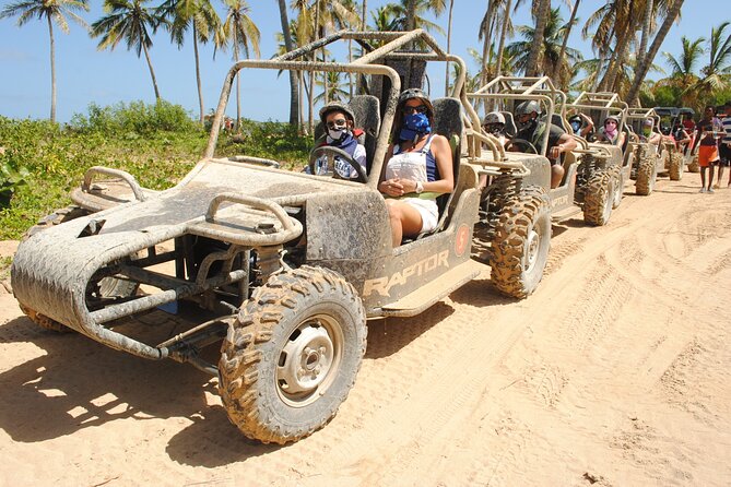 Punta cana Boogie into the Jungle with Coffee and Chocolate Taste - Coffee and chocolate tasting (plus coffee/cocoa/tobacco culture)