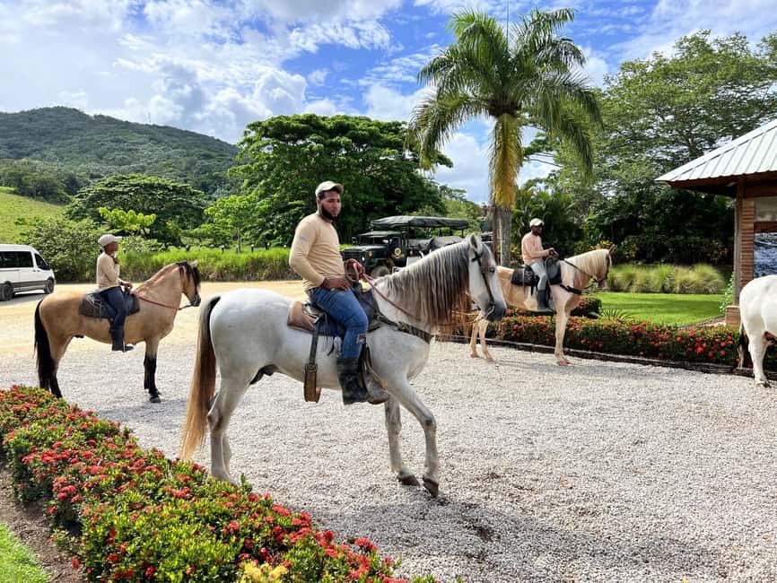 Punta Cana: Buggy and Zipline Adventure at La Hacienda - What La Hacienda adds to your Punta Cana trip (beyond “zipline only”)