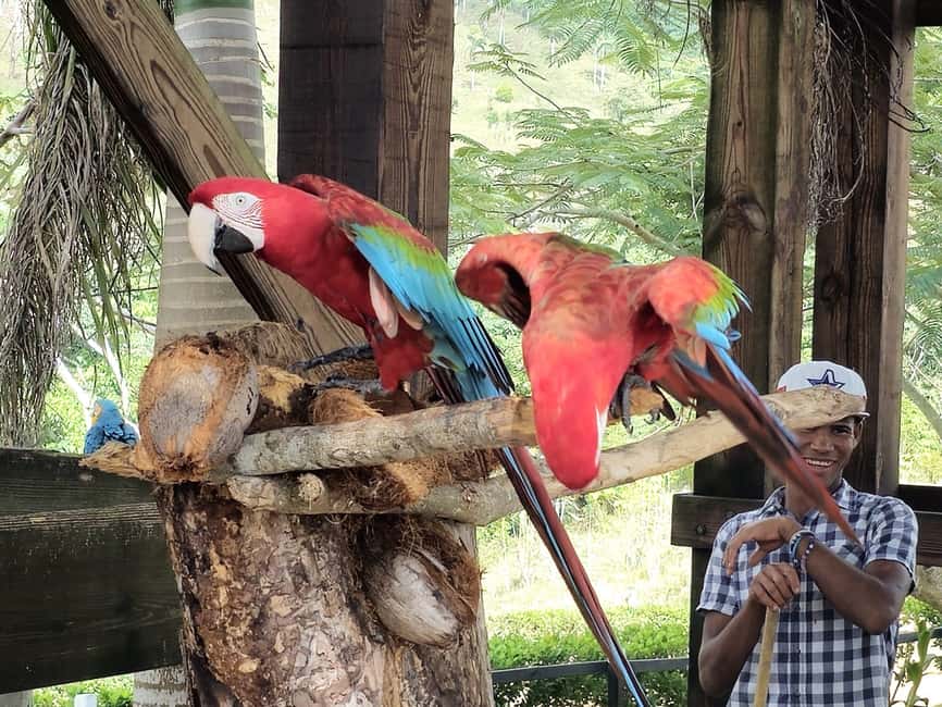 Punta Cana: Buggy and Zipline Adventure at La Hacienda - Getting there: hotel pickup, round-trip timing, and the bus comfort reality