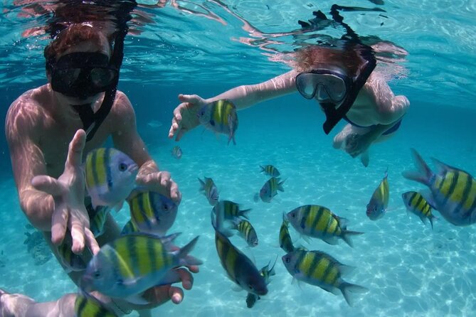 Punta Cana Catalina Island Catamaran Tour Package Deal - Catalina Beach time: how to use your 4 hours well