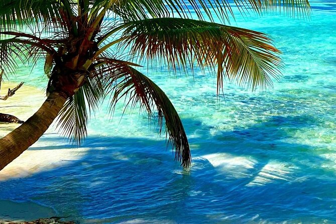 Punta Cana Catalina Island Catamaran Tour Package Deal - Price and value: what $70 really buys you