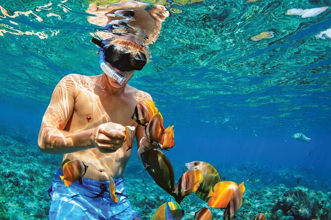 Punta Cana Catalina Island Catamaran Tour Package Deal - Drive to La Romana: why the morning feels like a mission