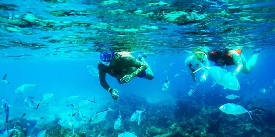 Punta Cana: Catalina Island Snorkeling Trip with Lunch - What to bring so the day feels easy