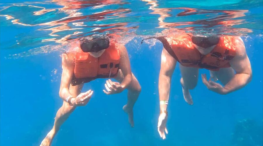Punta Cana: Catalina Island Trip with Snorkeling - The Snorkeling Hour: Coral Reef Gardens and Marine Life at the Surface