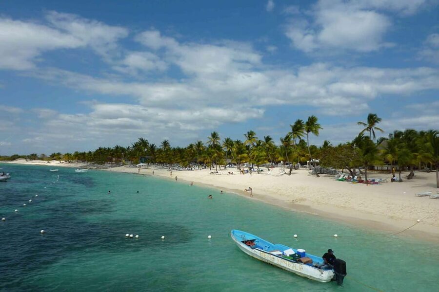 Punta Cana: Catalina Snorkeling & Altos de Chavón Day Trip - Buffet lunch + drinks: what the included meal gets right