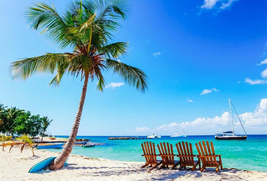 Punta Cana: Catamaran Boat to Saona Island with Buffet Lunch - Isla Saona, Without the Stress: What Makes This Day Trip Worth It