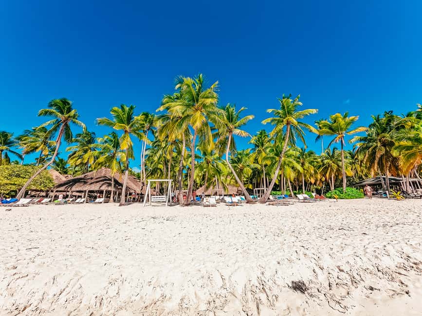 Punta Cana: Catamaran Boat to Saona Island with Buffet Lunch - Isla Saona Time: Beach, Walking, and Choosing Your Pace