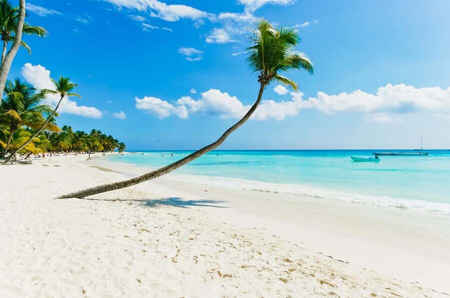 Punta Cana: Catamaran Boat to Saona Island with Buffet Lunch - Price and Value: Is $82 a Good Deal for Punta Cana to Saona?