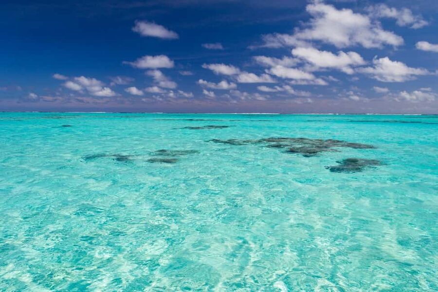 Punta Cana: Catamaran Boat to Saona Island with Buffet Lunch - Who Should Book This and Who Should Skip It
