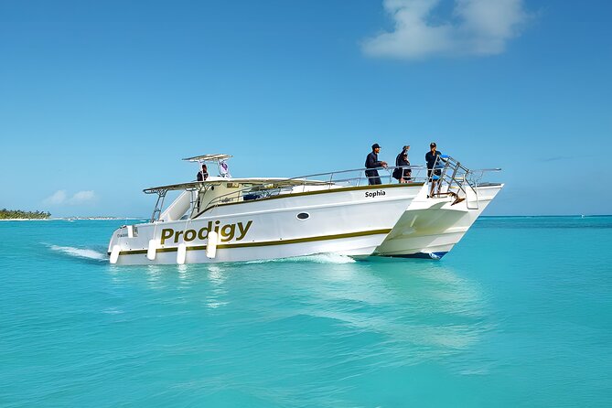 Punta Cana Catamaran Private Tour with BBQ and Natural Pool - Key Highlights You’ll Care About