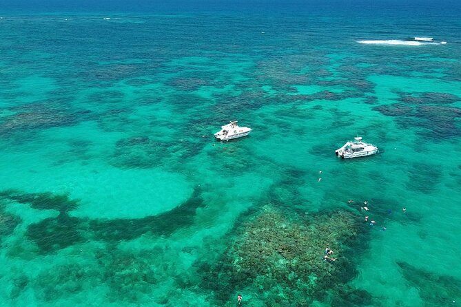 Punta Cana: Catamaran Tour, Reef Snorkeling and Unlimited Drinks! - Key Highlights to Know Before You Go