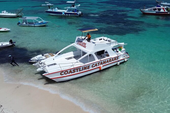 Punta Cana: Catamaran Tour, Reef Snorkeling and Unlimited Drinks! - Bavaro Natural Pool: Shallow-Water Fun That Actually Works for Kids