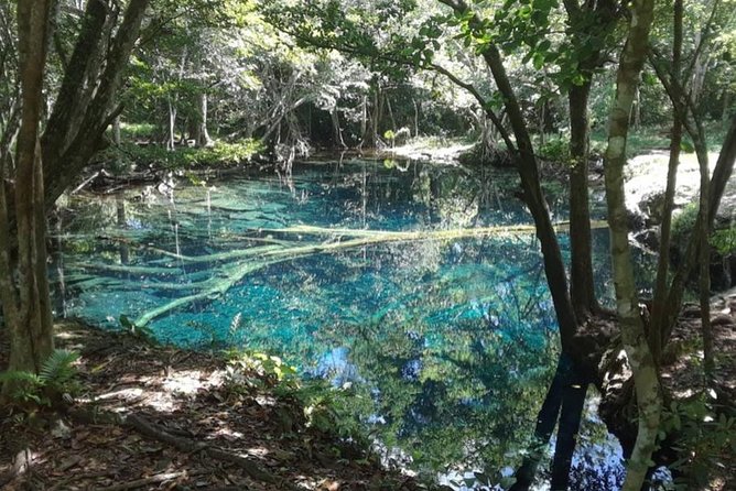 Punta Cana Cenote Hoyo Claro Hiking Tour + Juanillo Beach - What I’d pack and how I’d plan your day